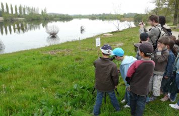 2018GuideJuniors-atelier-nature-marais-goulaine-levignobledenantes