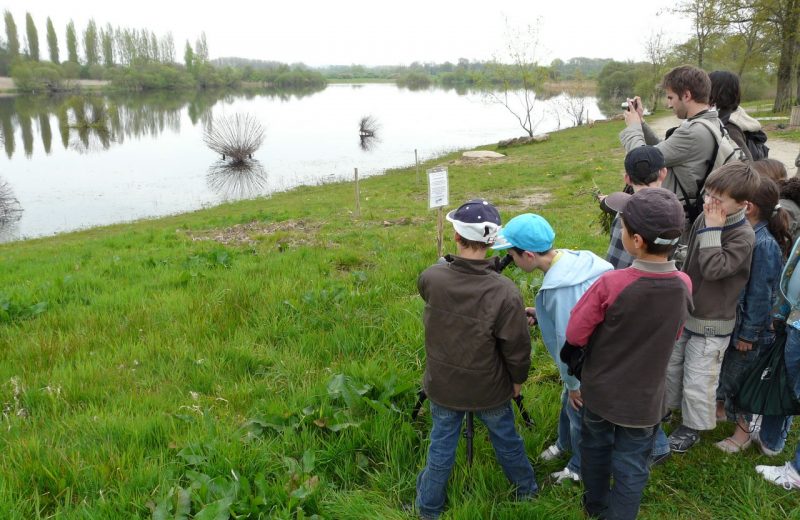 2018GuideJuniors-atelier-nature-marais-goulaine-levignobledenantes