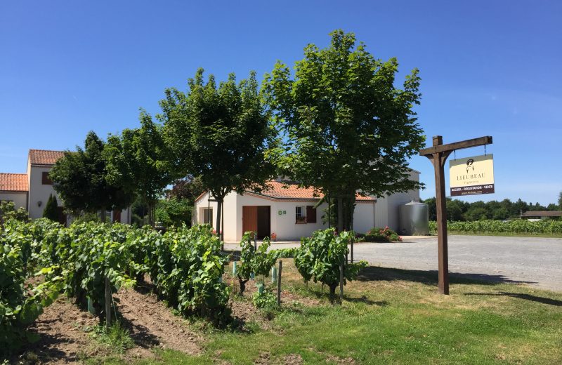 2019-FamilleLieubeau-caveau-chateauthebaud-44-levignobledenantes