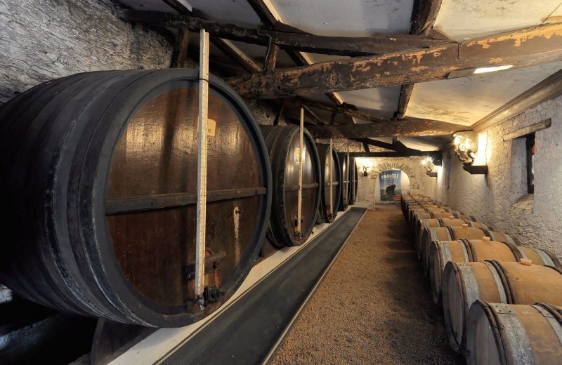 2019-cave-foudres-degustation-chateau-cassemichere-lachapelleheulin-44-levignobledenantes