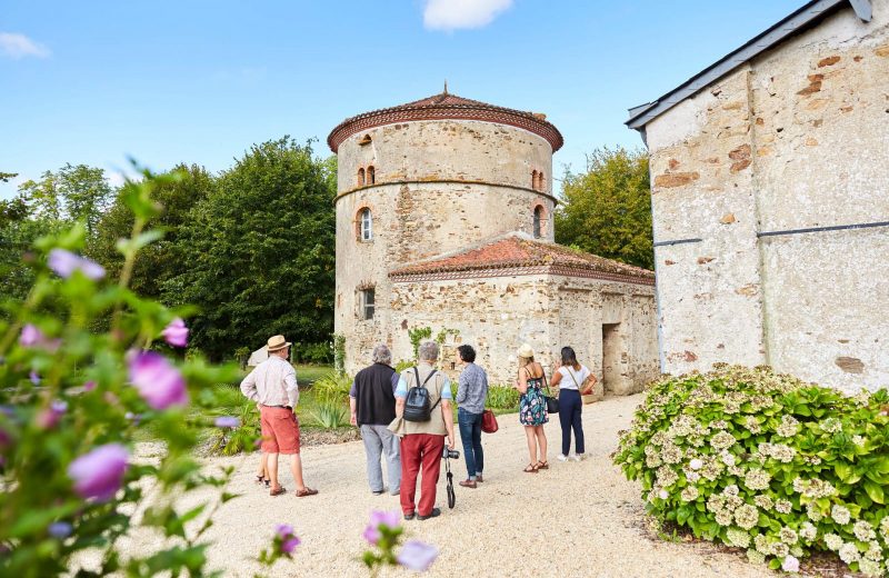 Dégustation prestige au chateau du coing le vignoble de nantes