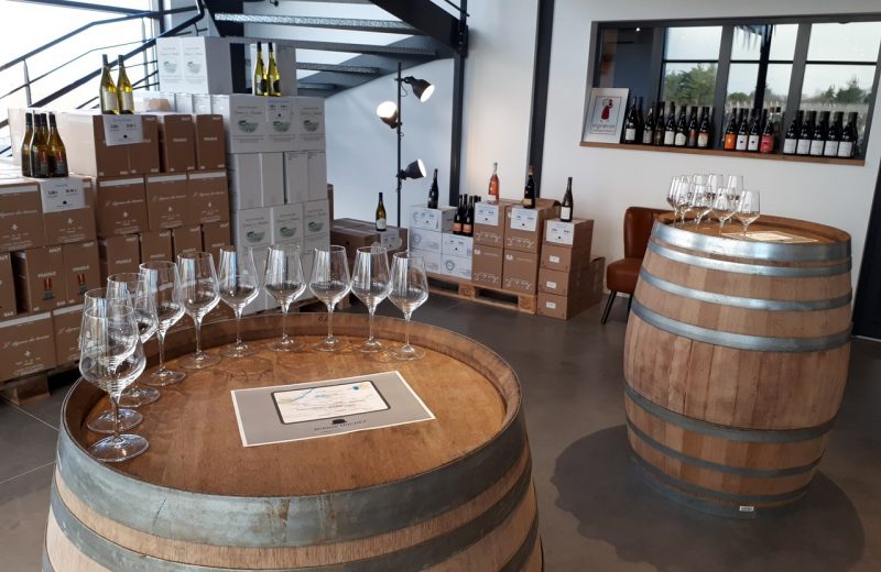 2019-salle de dégustation-Jérémie Huchet-Château Thébaud-44-levignobledenantes