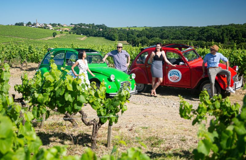 chateau-du-coing-Les 2 CV dans les vignes-st-fiacre-44