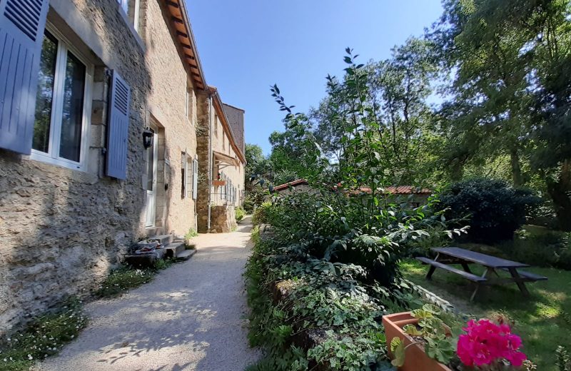 Chemin-Gîtes Moulin Neuf-Gétigné-44-levignobledenante