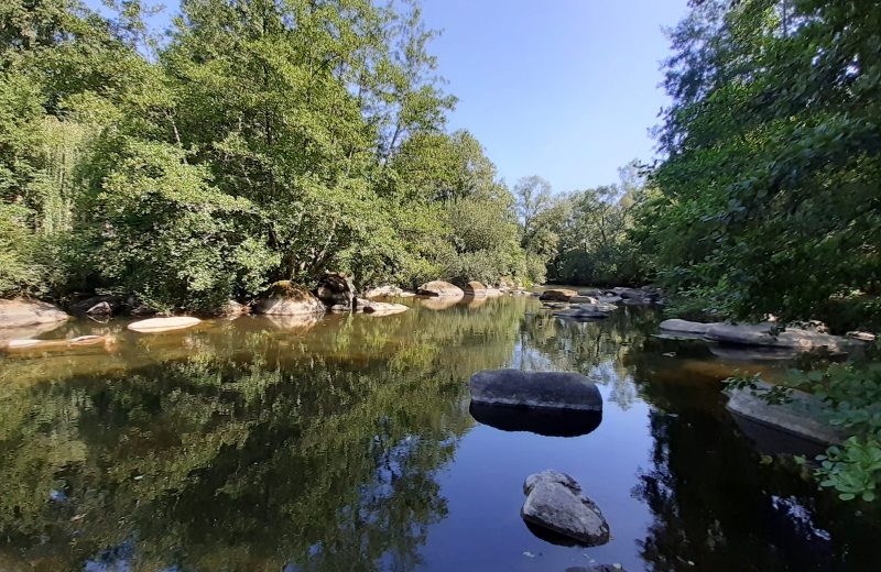 2022-Sèvre Nantaise -Gîtes Moulin Neuf – Gétigné- 44-levignobledenantes