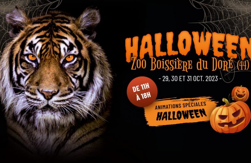 2023 halloween zoo de la boissière du doré