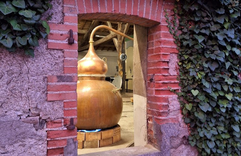 Distillerie Divine – Alambic