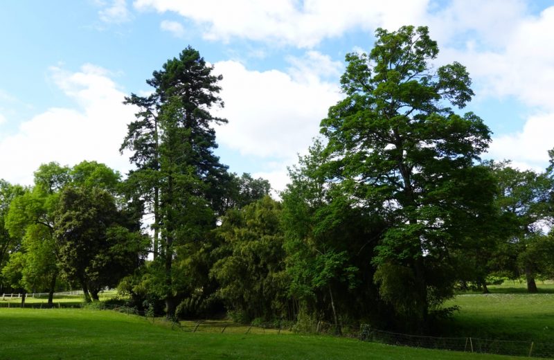 2024-05-30 Les Montys – Office de Tourisme du Vignoble de Nantes (32)