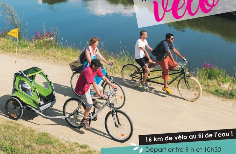 2025-09-01-Vignoble-a-velo-1414×2000