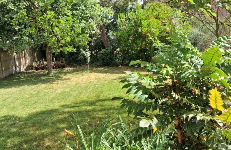 jardin ….pour farniente