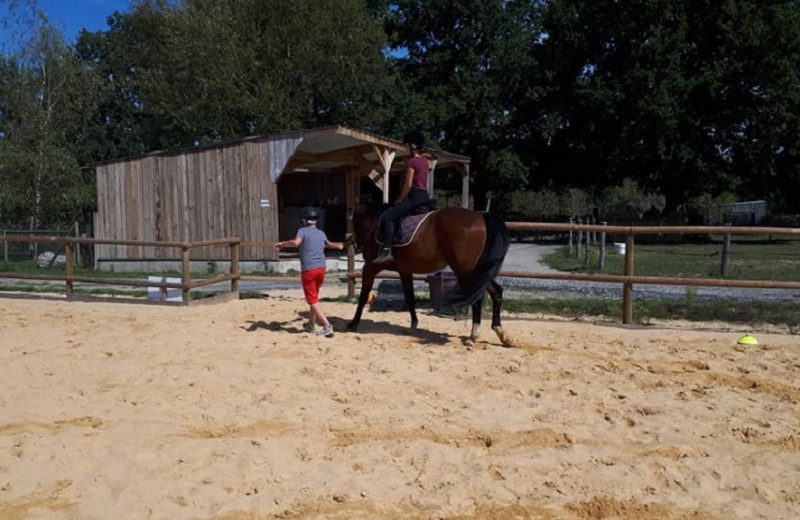 balade-poney-vignes-en-selle-enfants-st-crespin-sur-moine-sevremoine-nantes