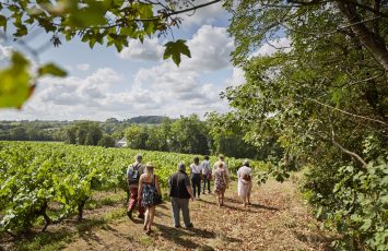 Escapade en muscadet