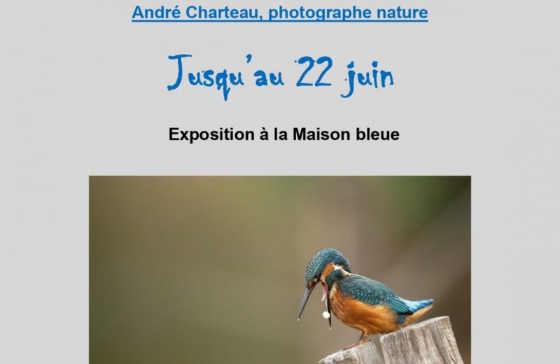 Affiche expo 2 2025_page-0001