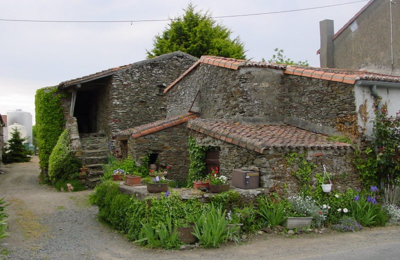 Le pé de Sèvre. Habitation vigneronne typique.
