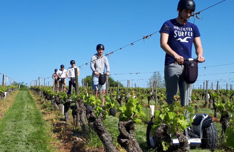 Balade en gyropode dans les vignes