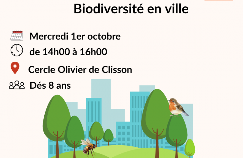 Animation biodiversité en ville