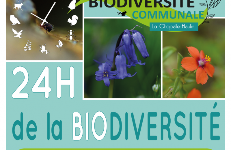 Biodiversitécommunale_LaChapelleHeulin_2024_levignobledenantes-tourisme.com
