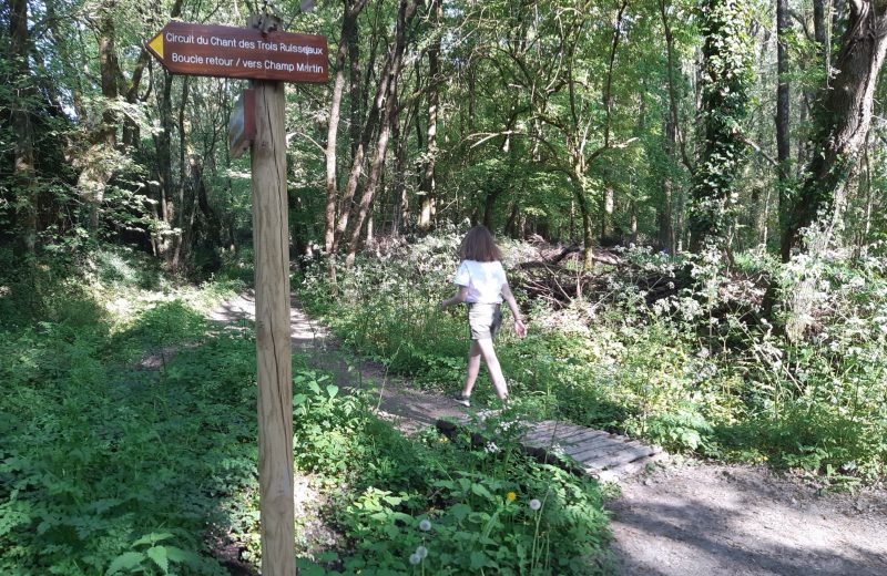 Bois de l’Oumeau Boucle de la Maine