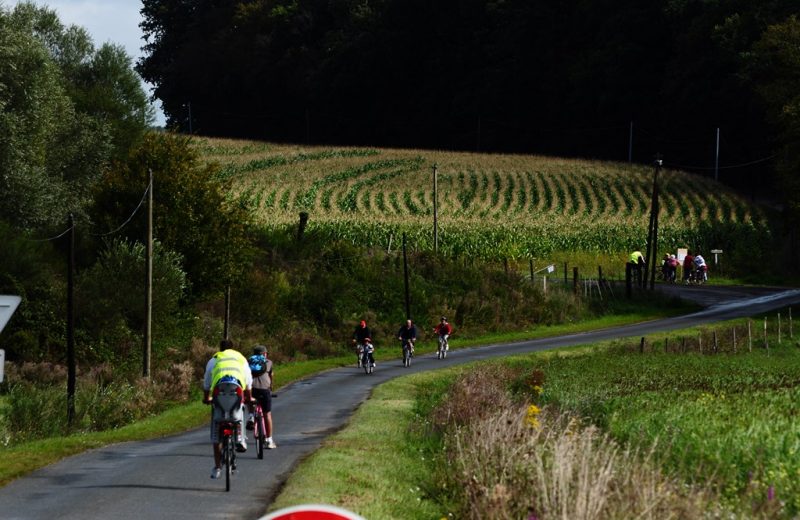 Boucle-vignoble-a-velo-bretagne-anjou-la-boissietr-du-dore-44-ITI (3)