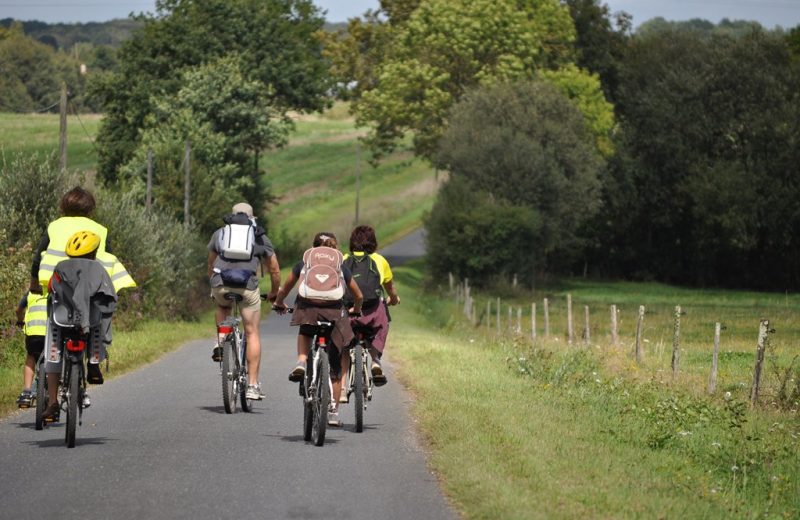 Boucle-vignoble-a-velo-bretagne-anjou-la-boissietr-du-dore-44-ITI (5)