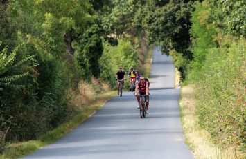 Boucle circuit Vignoble à Vélo entre Logne et Sanguèze