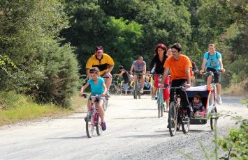 Boucle circuit Vignoble à Vélo entre Sèvre et marais