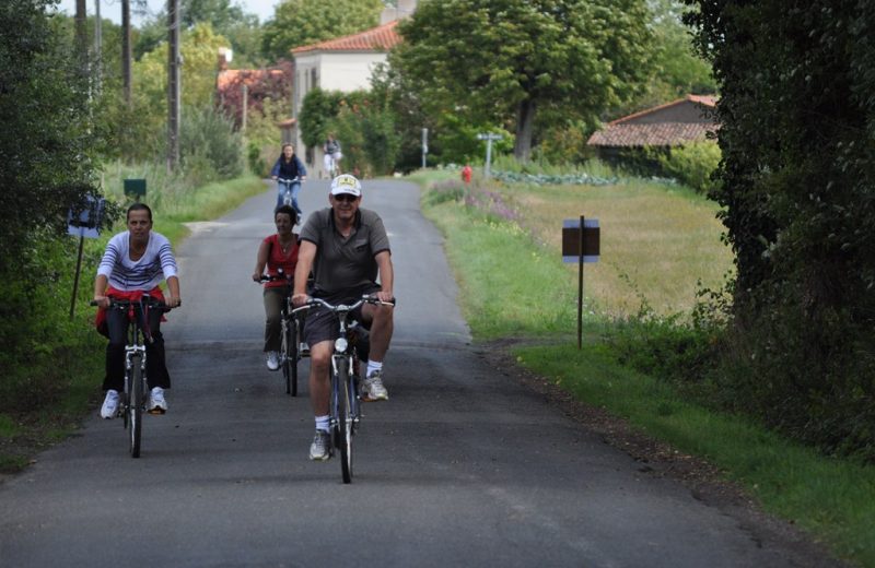 Boucle-vignoble-a-velo-vigne-bocage-la-regrippiere-44-ITI (3)