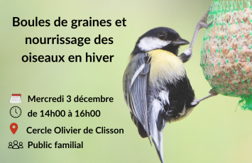 Atelier boules de graines pour les oiseaux