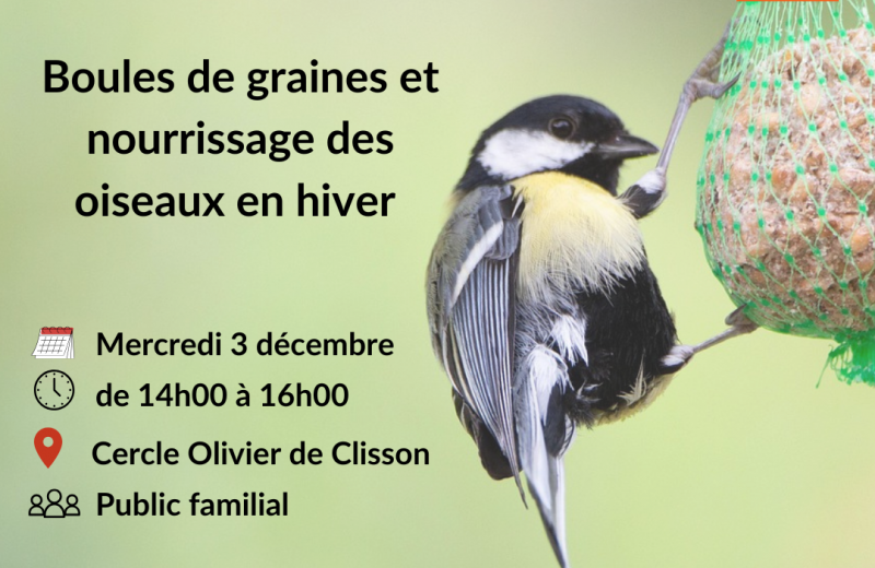 Atelier boules de graines pour les oiseaux