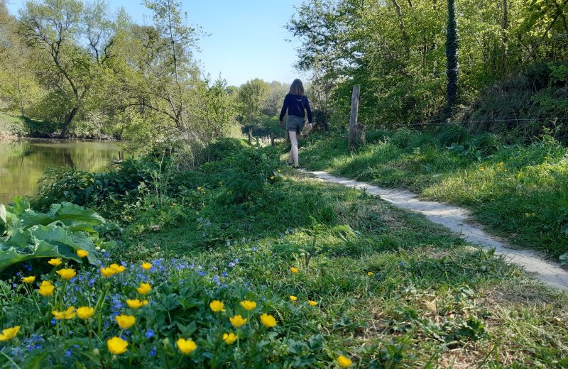 Boucle de la Maine