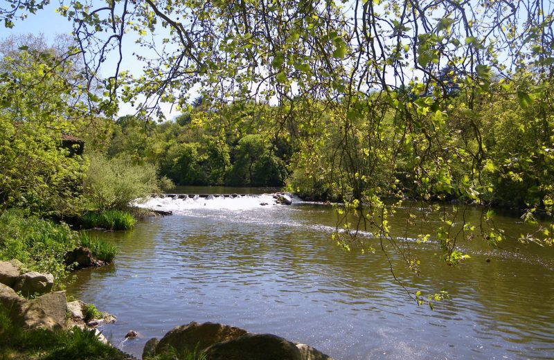 Grp de sevre et maine boucle du vignoble