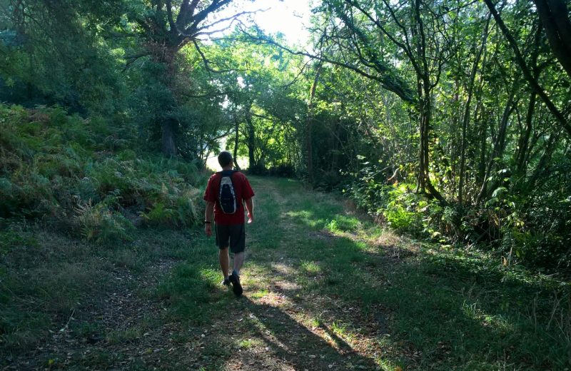 Circuit de Maine en vignes – St Lumine de CLisson