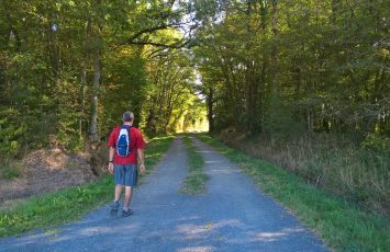 Circuit de Maine en vignes – St Lumine de CLisson