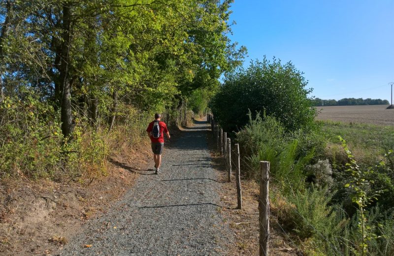 Circuit de Maine en vignes – St Lumine de CLisson