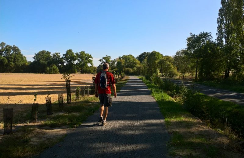 Circuit de Maine en vignes – St Lumine de CLisson