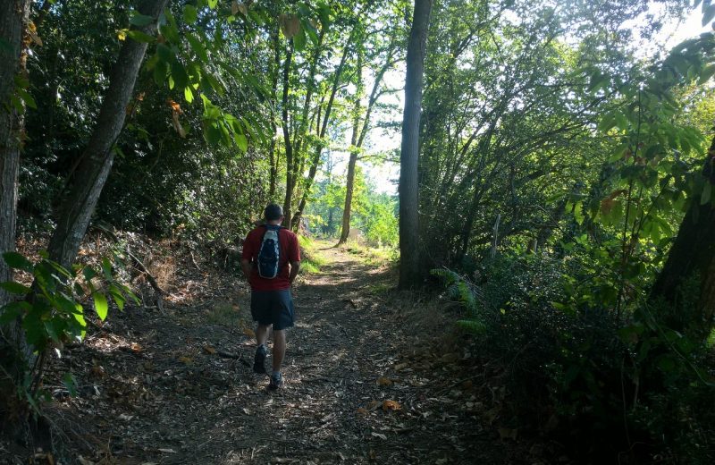 Circuit de Maine en vignes – St Lumine de CLisson