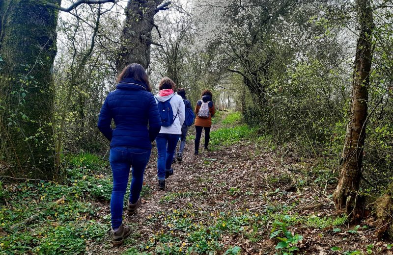 Circuit du Moulin Barbet (10)