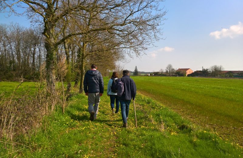 Circuit du Moulin Barbet (12)