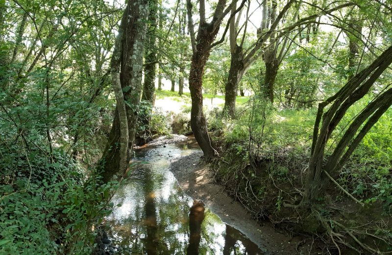 Circuit du Moulin Barbet (7)