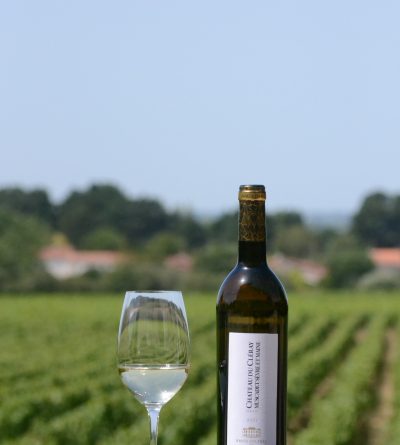 Vous vous demandez quoi faire dans le Vignoble Nantais ? Voici le TOP 10 des expériences inoubliables et dépaysantes à vivre cet été ! 