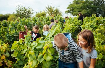 2018-musee-vignoble-nantais-pallet-44-levignobledenantes-tourisme