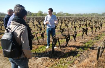 VISITE DU DOMAINE ET COURS D’OENOLOGIE AU CHATEAU DU BOIS HUAUT