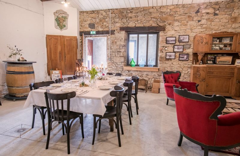 Domaine Forgeau-Vignoble de Nantes (PhotoChLatard)-13(B)