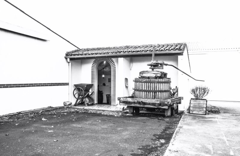 Domaine Forgeau-Vignoble de Nantes (PhotoChLatard)-30