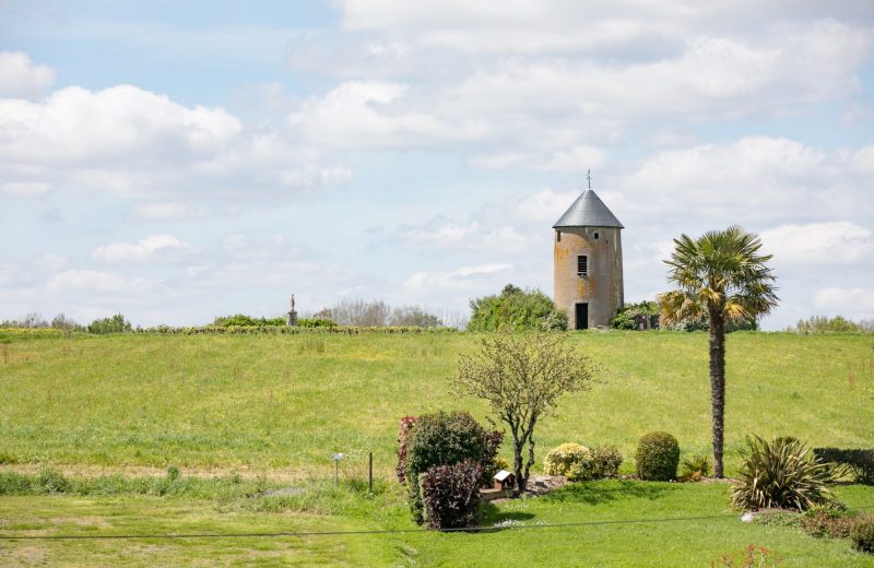 Domaine Menard Gaborit-Vignoble de Nantes