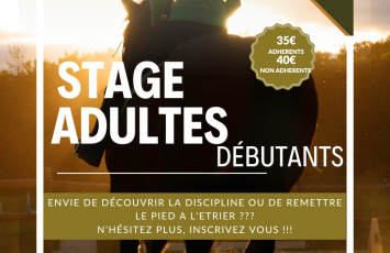 Ecurie des Lumières stage Toussaint 2025