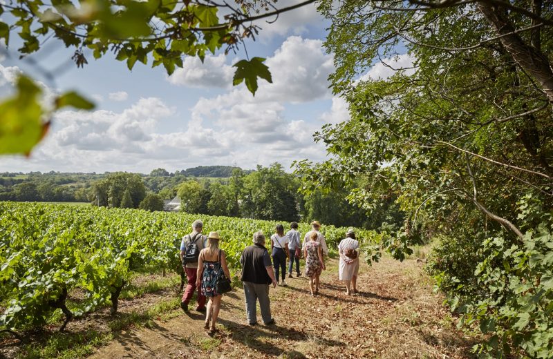 Escapade en muscadet