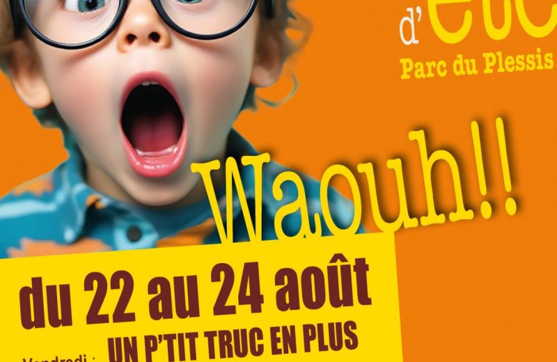 Festival-cinema-ete-aigrefeuille-2025-DestinationVignobleNantais.com