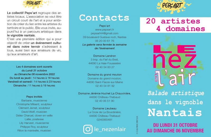 Flyer_nez-en-lair-1