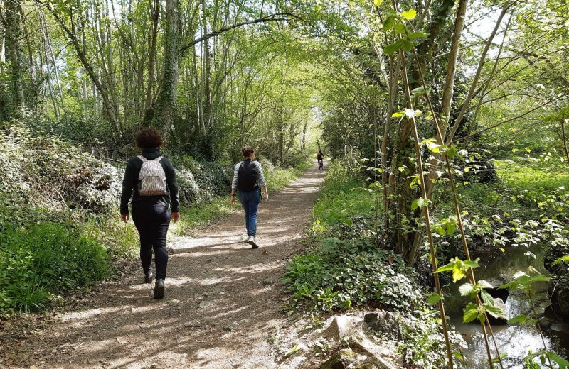 Entre Maisdon et Saint Lumine Boucle de la Maine